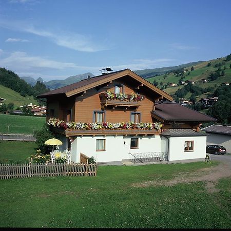 Ski & Bike Pension Maria Зальбах-Гінтерглемм Екстер'єр фото